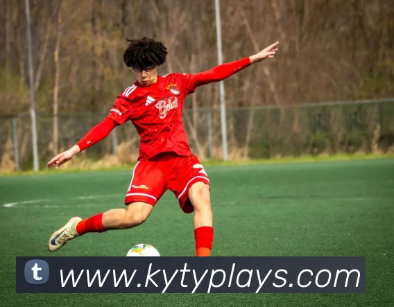 开云体育APP 封面图