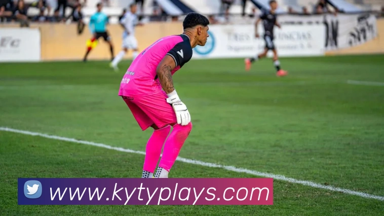 辅助工具 辅助工具